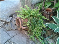 7a6317ce-2016-07-27 07.35.09.jpg